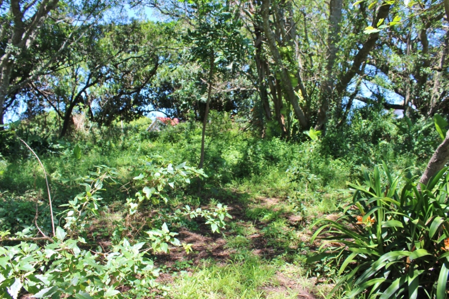 0 Bedroom Property for Sale in East Bank Eastern Cape